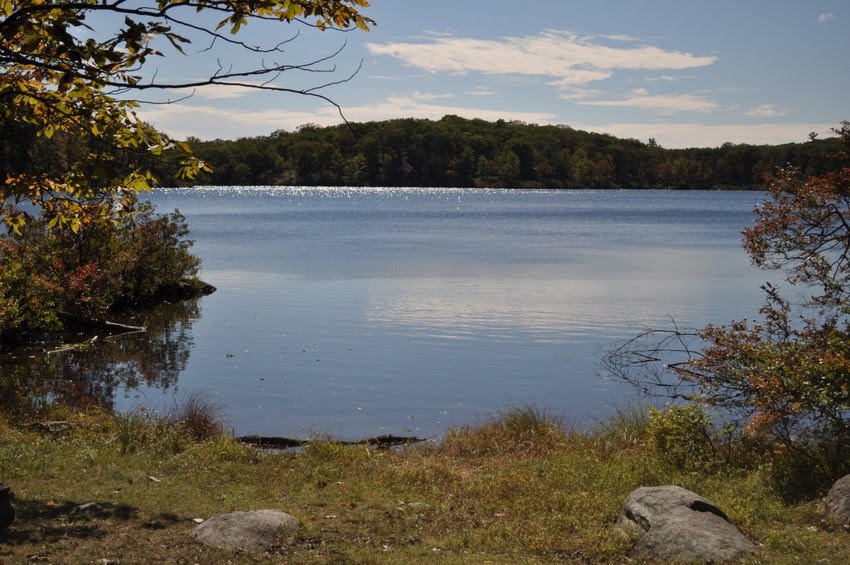Lake skenonto cheap